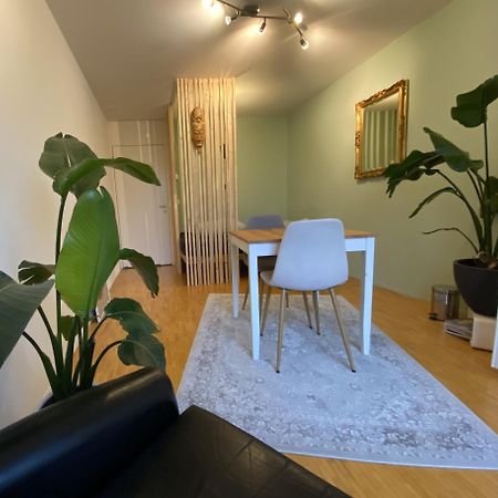 Limmatspitz Apartment Gebenstorf Luaran gambar