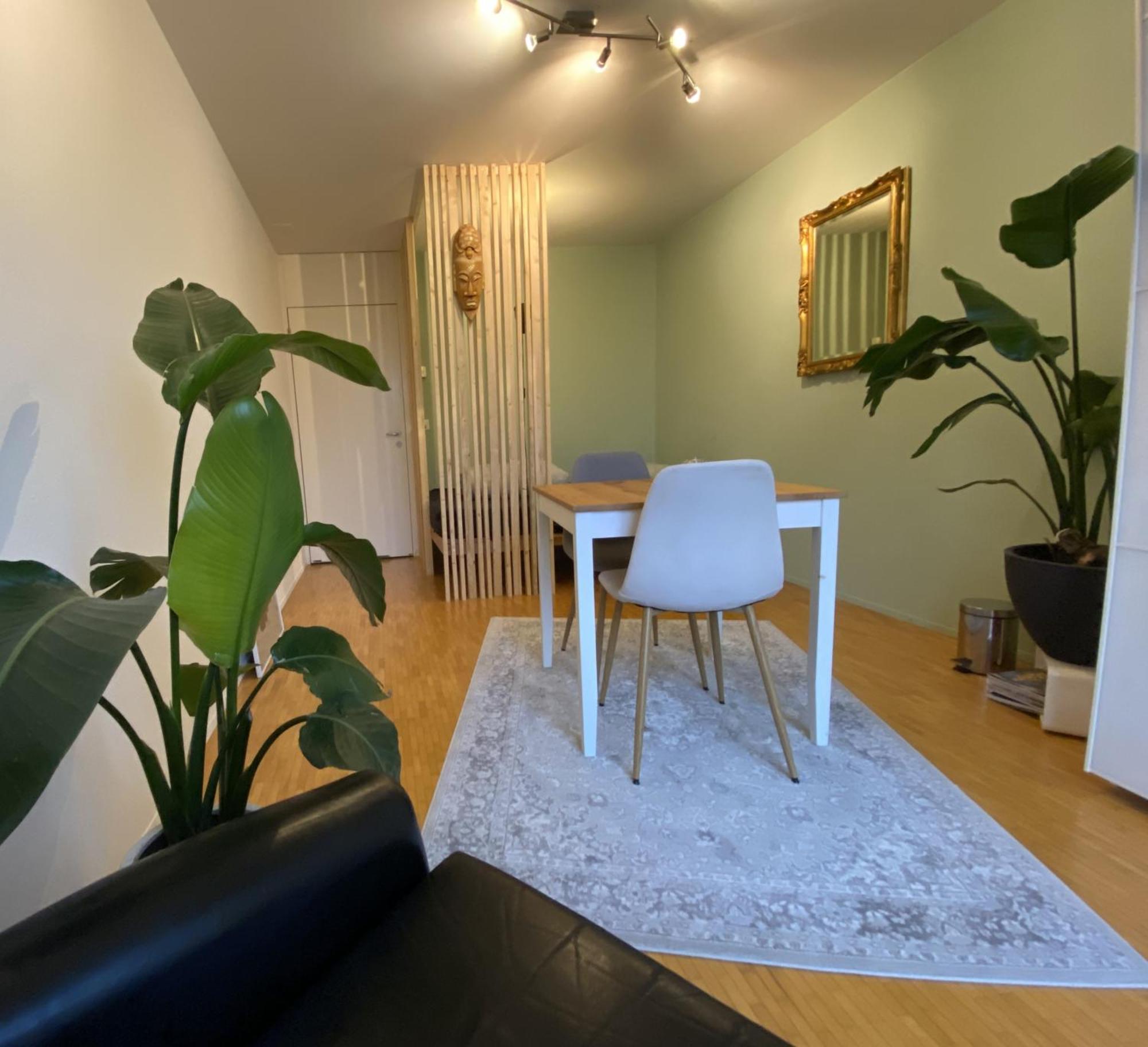 Limmatspitz Apartment Gebenstorf Luaran gambar